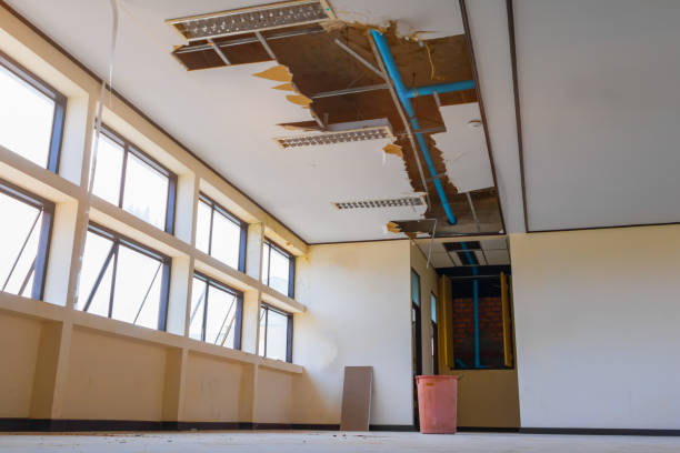 Best Ceiling water damage repair  in Munster, IN