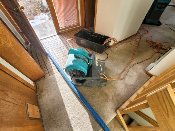 Best Water damage contractors near me  in Munster, IN